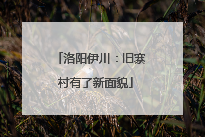 洛阳伊川：旧寨村有了新面貌