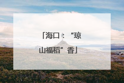 海口：“琼山福稻”香