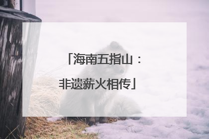 海南五指山：非遗薪火相传