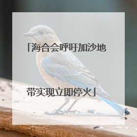 海合会呼吁加沙地带实现立即停火