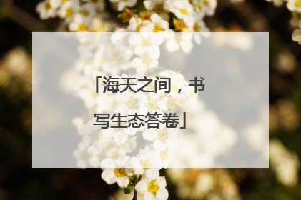 海天之间，书写生态答卷