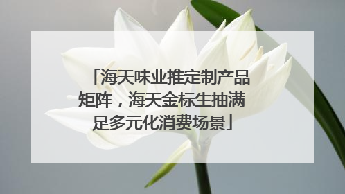 海天味业推定制产品矩阵，海天金标生抽满足多元化消费场景