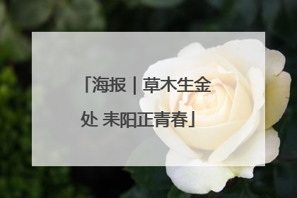海报｜草木生金处 耒阳正青春