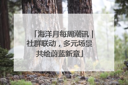 海洋月每周潮讯｜社群联动，多元场景共绘蔚蓝新章
