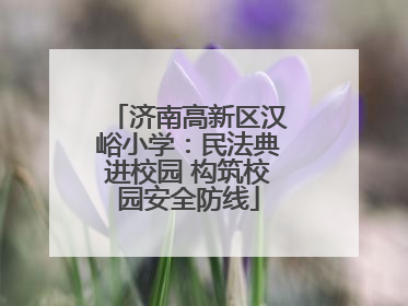 济南高新区汉峪小学：民法典进校园 构筑校园安全防线