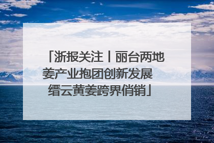 浙报关注丨丽台两地姜产业抱团创新发展 缙云黄姜跨界俏销
