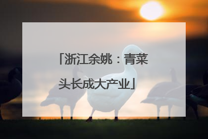 浙江余姚：青菜头长成大产业