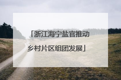 浙江海宁盐官推动乡村片区组团发展