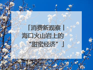 消费新观察丨海口火山岩上的“甜蜜经济”