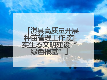 淇县高质量开展种苗管理工作 夯实生态文明建设“绿色根基”