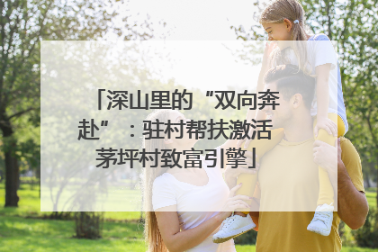 深山里的“双向奔赴”：驻村帮扶激活茅坪村致富引擎