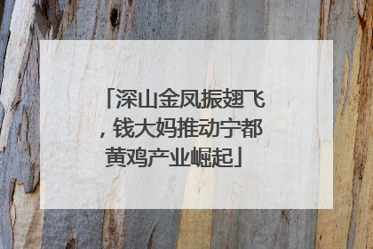 深山金凤振翅飞，钱大妈推动宁都黄鸡产业崛起