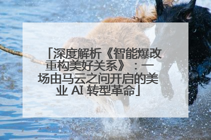 深度解析《智能爆改 重构美好关系》：一场由马云之问开启的美业 AI 转型革命