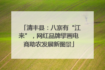 清丰县：八寨有“江来”，网红品牌擘画电商助农发展新图景