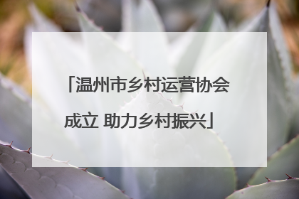 温州市乡村运营协会成立 助力乡村振兴