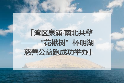 湾区泉涌·南北共擎——“花楸树”杯明湖慈善公益跑成功举办