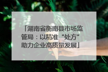 湖南省衡南县市场监管局：以精准“处方”助力企业高质量发展