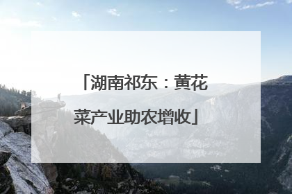 湖南祁东：黄花菜产业助农增收