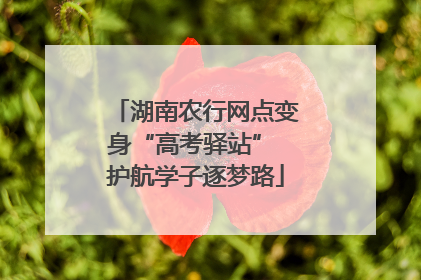 湖南农行网点变身“高考驿站” 护航学子逐梦路