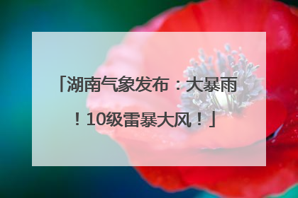 湖南气象发布：大暴雨！10级雷暴大风！