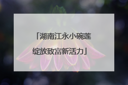 湖南江永小碗莲绽放致富新活力
