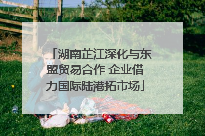 湖南芷江深化与东盟贸易合作 企业借力国际陆港拓市场