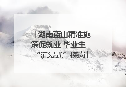 湖南蓝山精准施策促就业 毕业生“沉浸式”探岗
