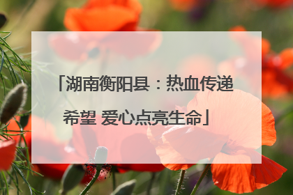 湖南衡阳县：热血传递希望 爱心点亮生命