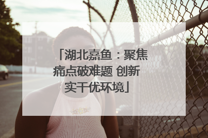 湖北嘉鱼：聚焦痛点破难题 创新实干优环境