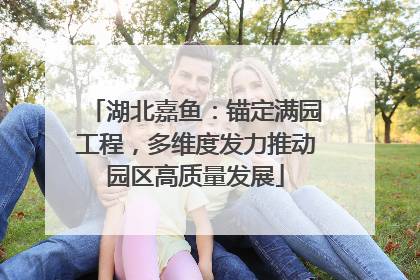 湖北嘉鱼：锚定满园工程，多维度发力推动园区高质量发展