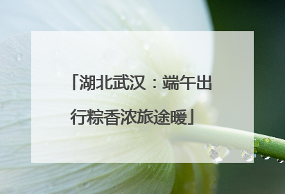 湖北武汉：端午出行粽香浓旅途暖