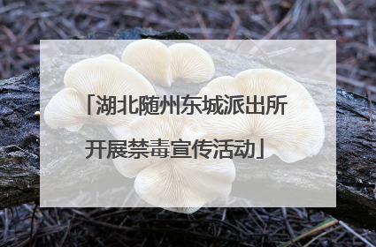 湖北随州东城派出所开展禁毒宣传活动