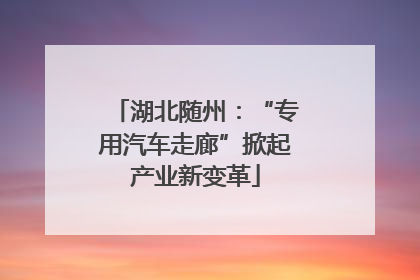 湖北随州：“专用汽车走廊”掀起产业新变革