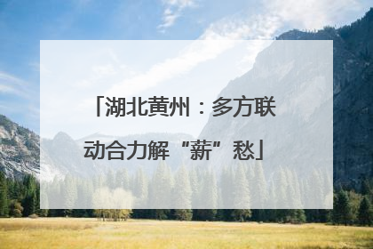 湖北黄州：多方联动合力解“薪”愁