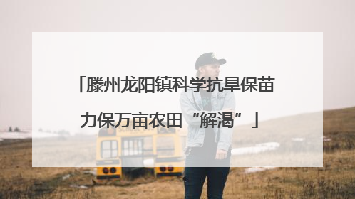 滕州龙阳镇科学抗旱保苗 力保万亩农田“解渴”