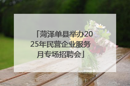 菏泽单县举办2025年民营企业服务月专场招聘会
