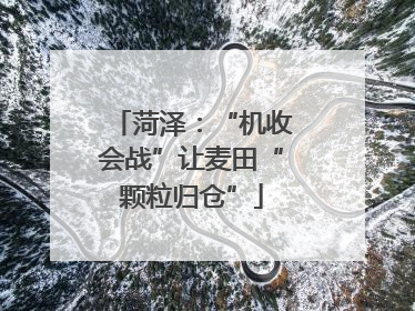菏泽：“机收会战”让麦田“颗粒归仓”