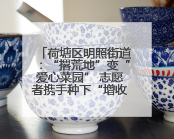 荷塘区明照街道：“撂荒地”变“爱心菜园” 志愿者携手种下“增收希望”