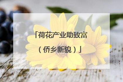 荷花产业助致富（侨乡新貌）