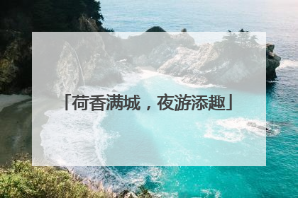 荷香满城，夜游添趣