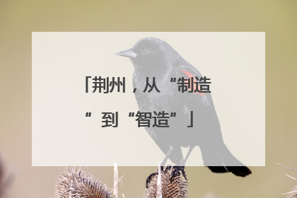 荆州，从“制造”到“智造”