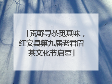 荒野寻茶觅真味，红安县第九届老君眉茶文化节启幕