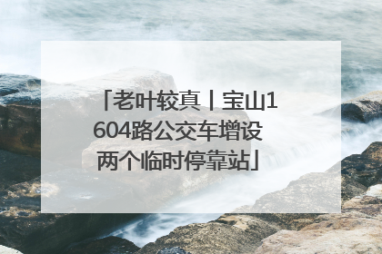 老叶较真丨宝山1604路公交车增设两个临时停靠站