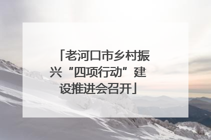 老河口市乡村振兴“四项行动”建设推进会召开