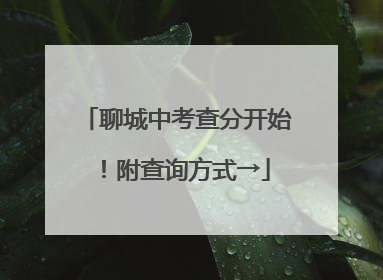 聊城中考查分开始！附查询方式→
