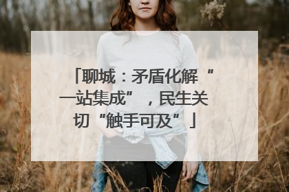 聊城：矛盾化解“一站集成”，民生关切“触手可及”