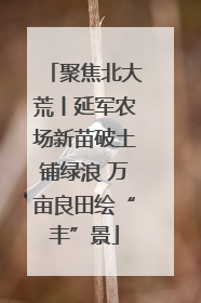 聚焦北大荒丨延军农场新苗破土铺绿浪 万亩良田绘“丰”景