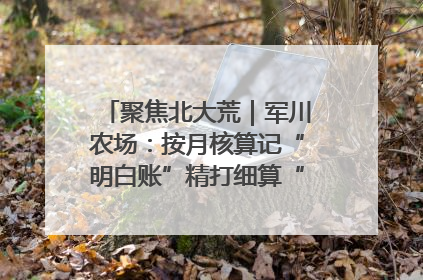 聚焦北大荒｜军川农场：按月核算记“明白账”精打细算“过紧日子”