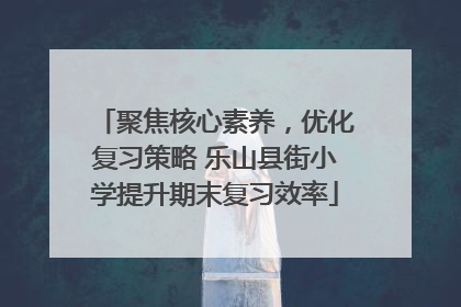 聚焦核心素养，优化复习策略 乐山县街小学提升期末复习效率