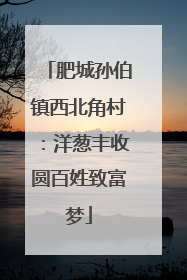 肥城孙伯镇西北角村：洋葱丰收圆百姓致富梦